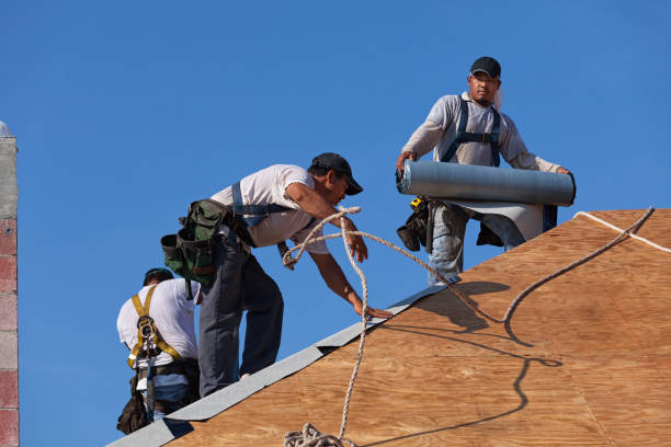 Best Storm Damage Roof Repair  in Argos, IN