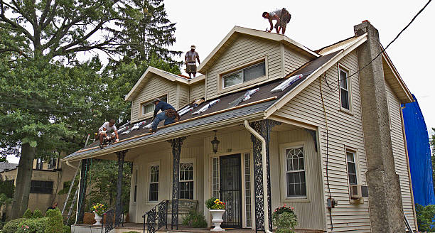 Best Residential Roofing Contractor  in Argos, IN